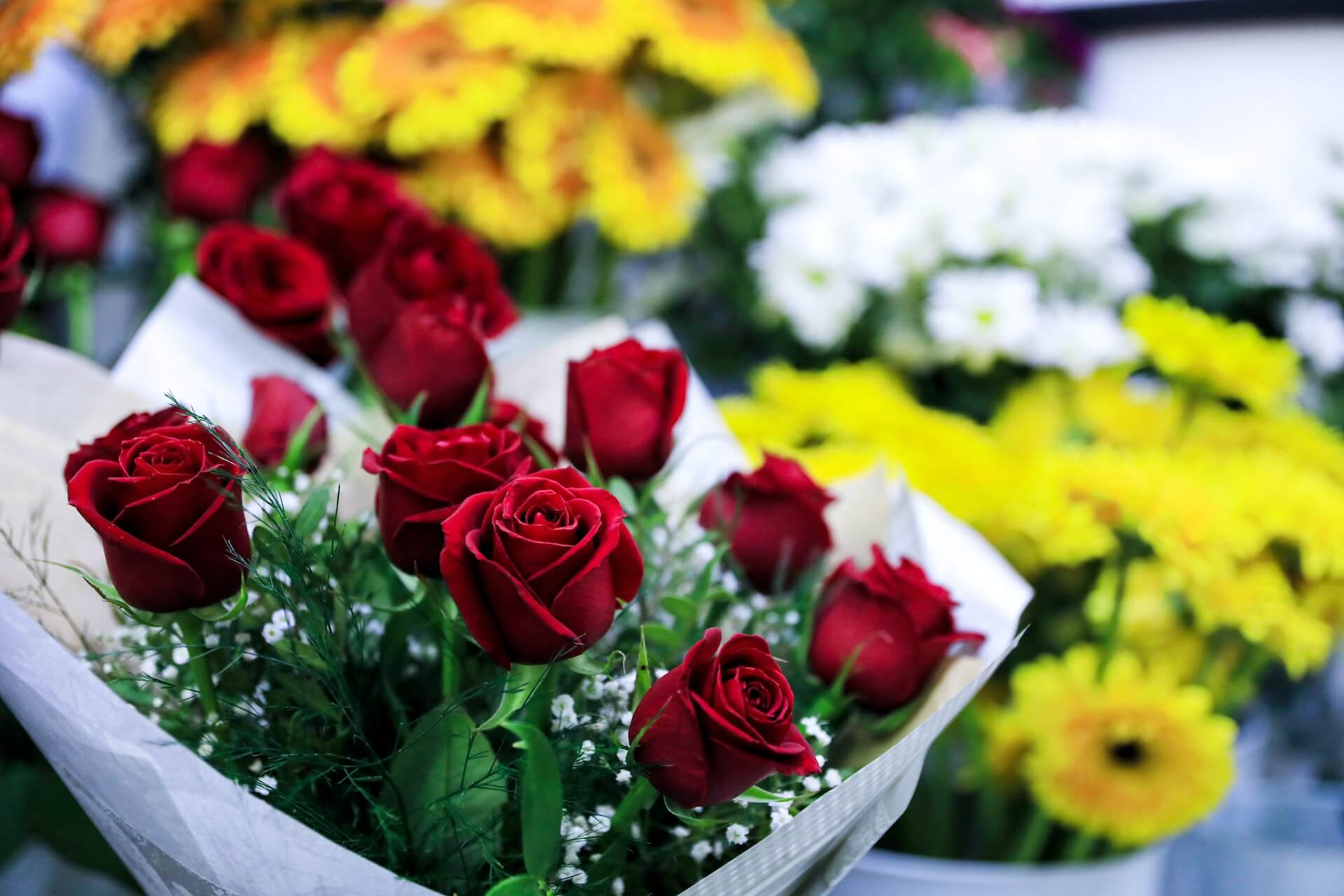 5 Best Valentine's Day Flowers To Buy Now