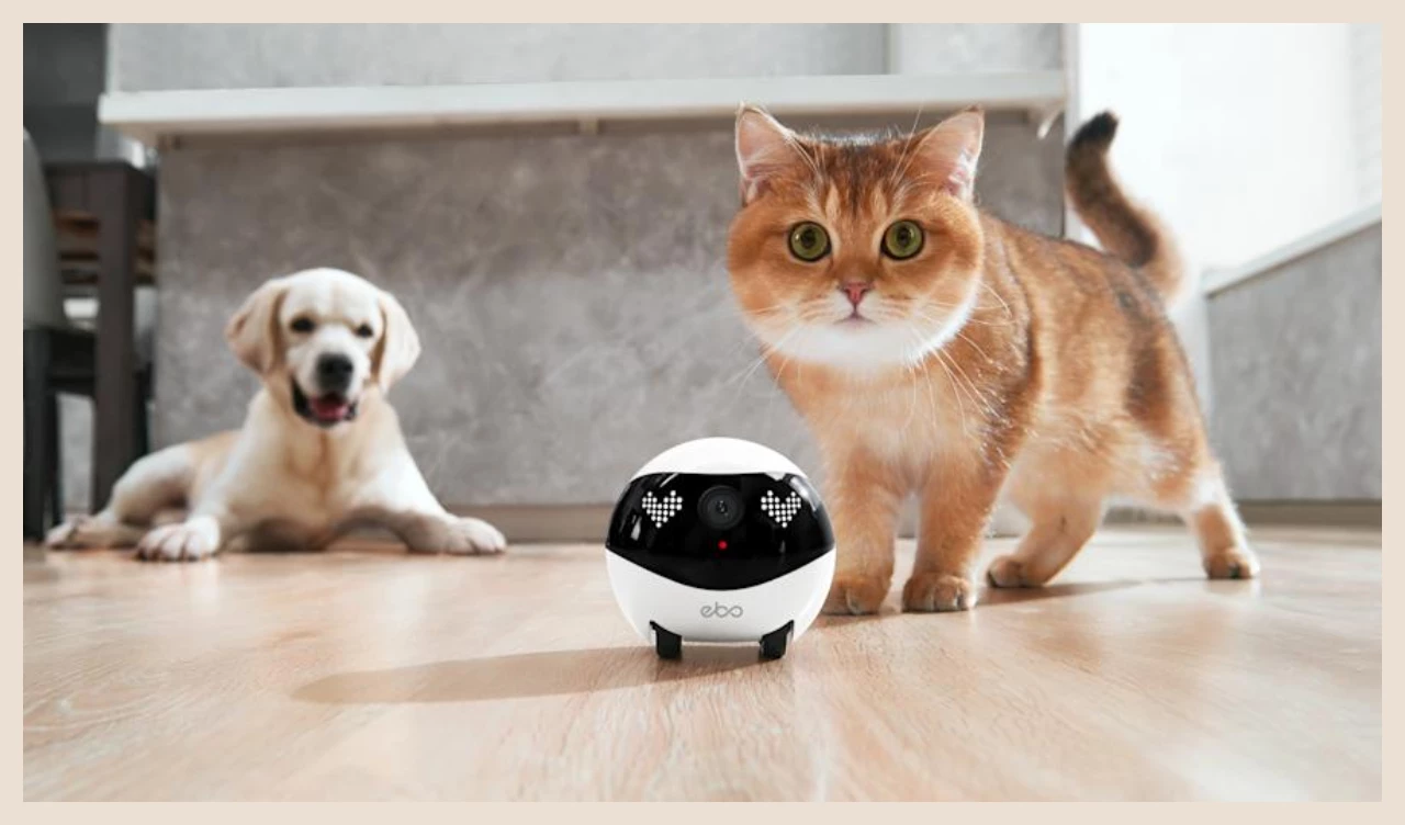 This Pet Robot Lets You Check on Your Fur Baby Anytime, Anywhere