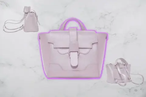 Senreve Mini Maestra Bag Review: Everything You Should Know